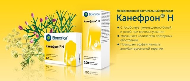 Канефрон при простатите у мужчин: лечение, инструкция, отзывы