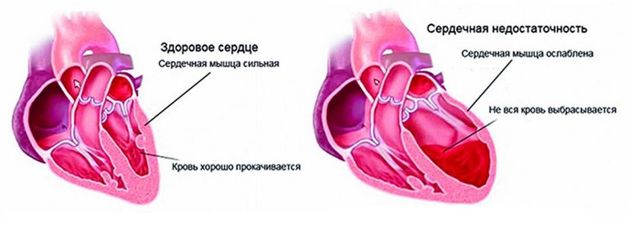Таблетки для стояка у мужчин. ТОП-10