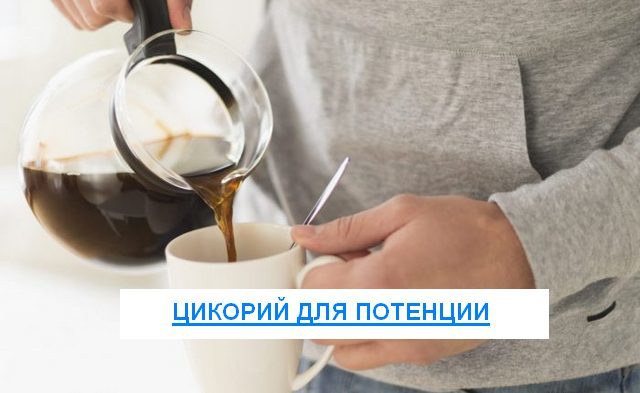 Как цикорий влияет на потенцию: польза и вред для мужчин