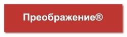 Калина для мужчин: полезные свойства и противопоказания, отзывы