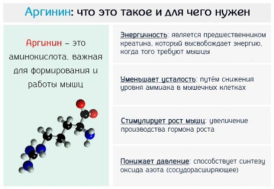 Аргинин для потенции: инструкция по применению, отзывы мужчин