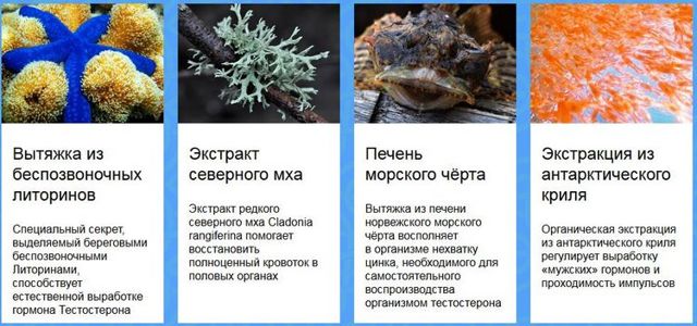 Капли для потенции мужчин быстрого действия и улучшения эрекции