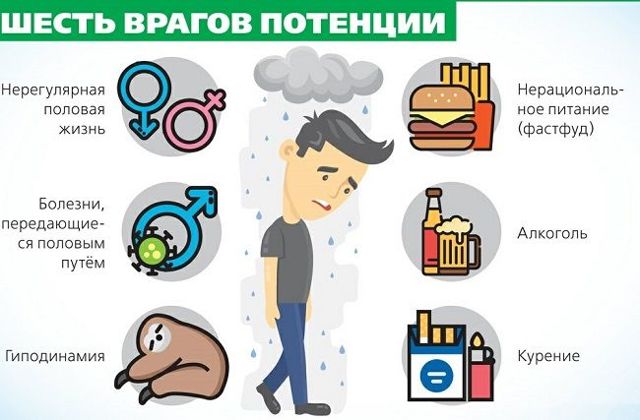 Орехи для потенции мужчин: какие самые лучшие от импотенции?