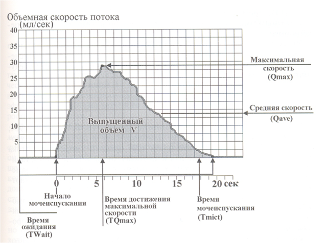 Урофлоуметрия: что это такое, как проводится, подготовка к процедуре, цена
