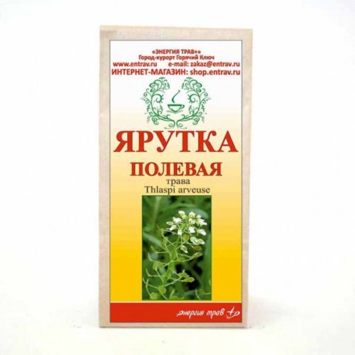 Ярутка полевая: применение мужчинам при импотенции, лечебные свойства