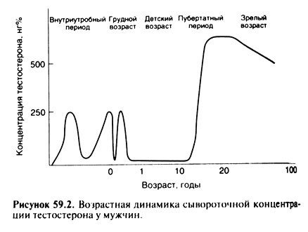 7 бустеров тестостерона, которые реально «работают» с описанием и ценой для мужчин