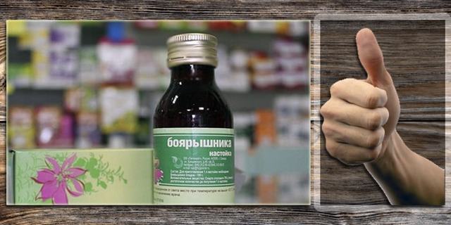 Пустырник для мужчин: польза и вред, влияние на потенцию, отзывы