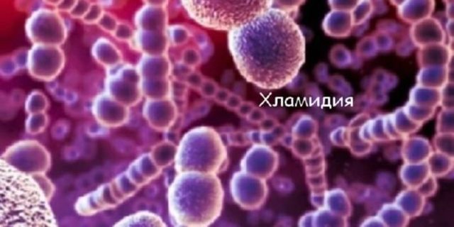 Хламидийный простатит у мужчин: причины, симптомы, лечение и профилактика