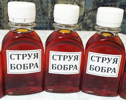 Бобровая струя для потенции: как принимать мужчине?