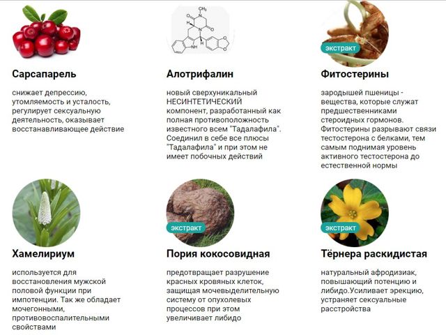 Рексатал: где купить, инструкция по применению, отзывы и цена