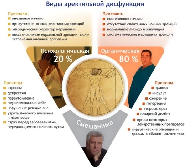Гвоздика для потенции мужчин: рецепты, польза и вред