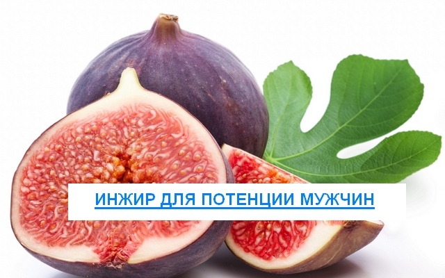 Инжир для повышения потенции у мужчин: польза и вред, рецепты