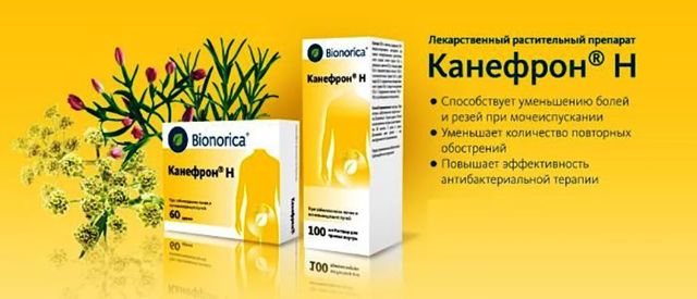 Канефрон при простатите у мужчин: лечение, инструкция, отзывы