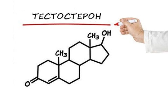 Продукты повышающие тестостерон у мужчин: список