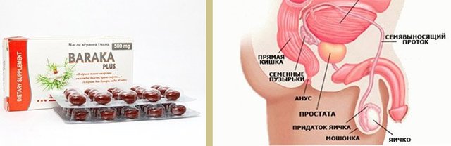 Черный тмин для потенции: польза и вред для мужчин, рецепты