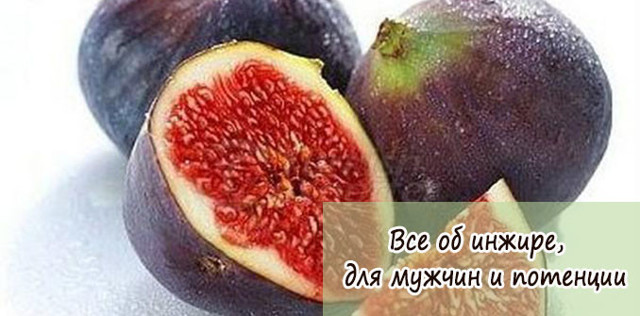 Инжир для повышения потенции у мужчин: польза и вред, рецепты
