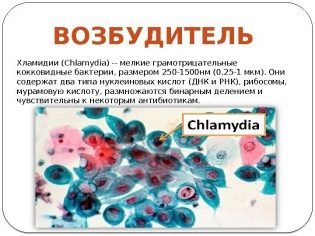 10 советов как 100% улучшить качество спермы у мужчин (+ препараты)