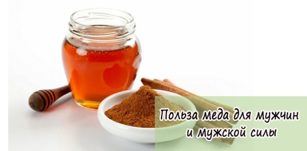 Рецепты для повышения потенции. ТОП-10 для мужчин