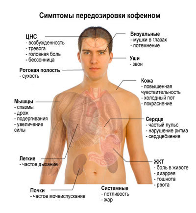 Влияние кофе на потенцию мужчины: польза и вред, отзывы