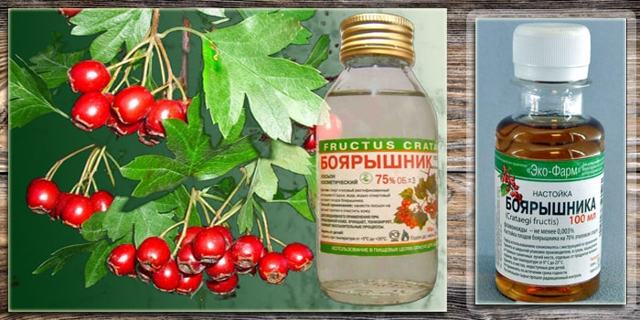 Пустырник для мужчин: польза и вред, влияние на потенцию, отзывы