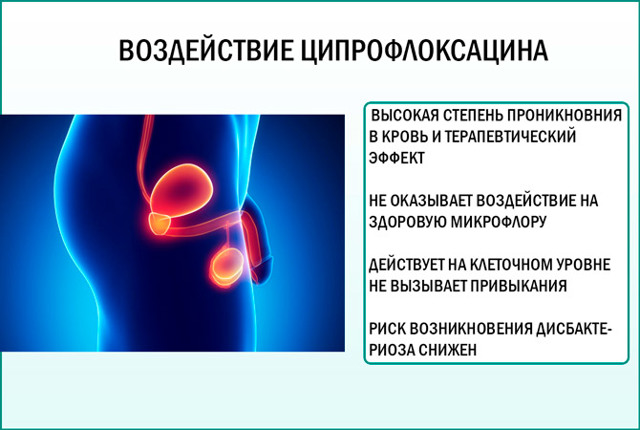 Ципрофлоксацин при простатите: схема лечения, отзывы мужчин