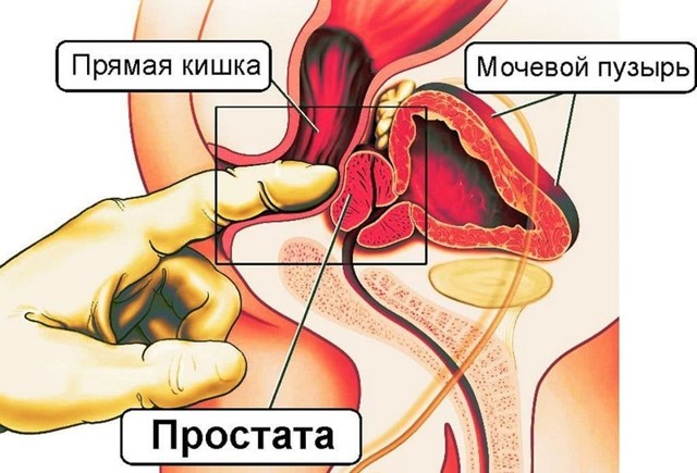 Влияние онанизма на потенцию: польза и вред мастурбации для тестостерона и эрекции у мужчин
