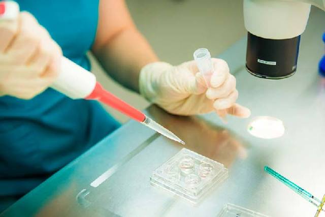 enterococcus faecalis у мужчин: норма, причины, симптомы и лечение