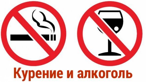 Как Бисопролол влияет на потенцию у мужчин?