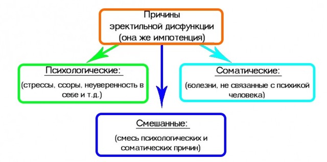 Травяной сбор для повышения потенции у мужчин: как подобрать?