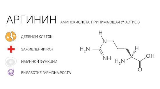 Аргинин для потенции: инструкция по применению, отзывы мужчин