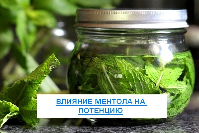 Ментол и потенция у мужчин: влияние, вред и польза
