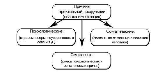 Спинальная импотенция у мужчин: причины, симптомы и лечение