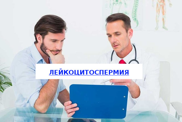 Лейкоцитоспермия у мужчин: причины, симптомы, лечение