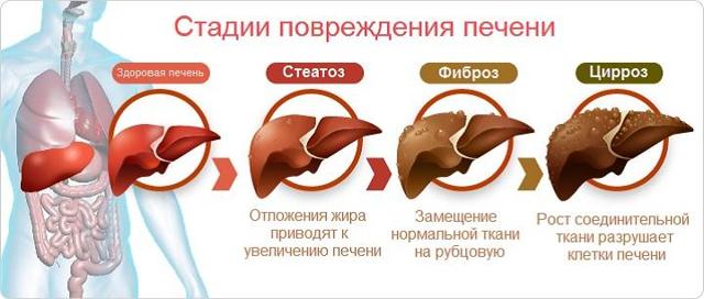 Таблетки Виагра для мужчин: инструкция по применению, цена, отзывы