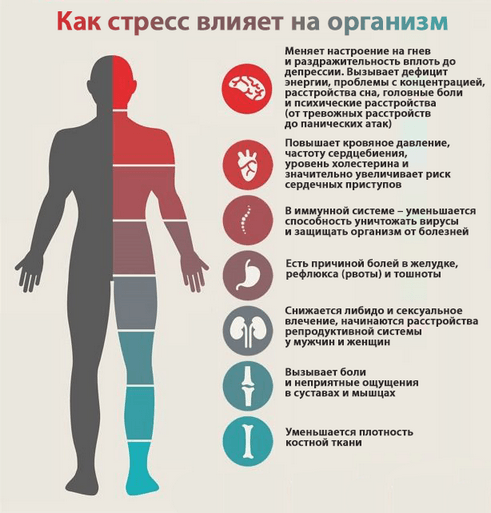 Потеря эрекции во время полового акта: причины, что делать мужчине?