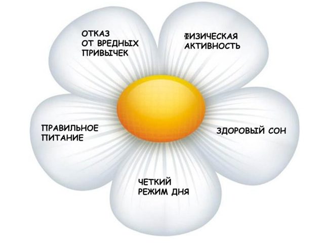 До какого возраста мужчина может сохранять потенцию?