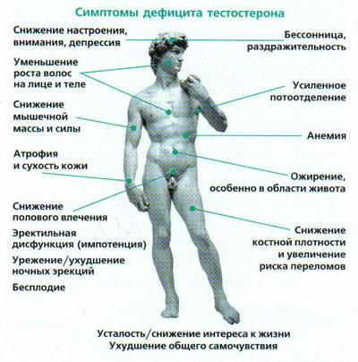 10 причин почему плохо стоит половой член, что делать мужчине, чтобы больше не облажаться