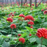 Витамины для повышения тестостерона у мужчин