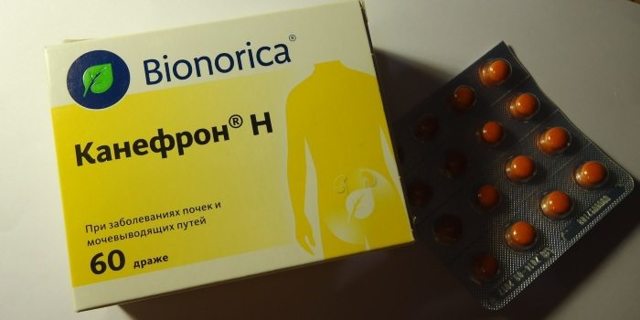 Канефрон при простатите у мужчин: лечение, инструкция, отзывы
