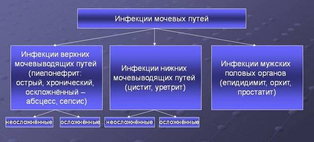 Зарядка для потенции мужчин: комплекс упражнений, польза, видео