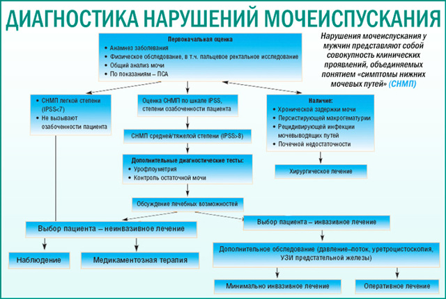 Частое мочеиспускание у мужчин без боли: причины, симптомы, лечение