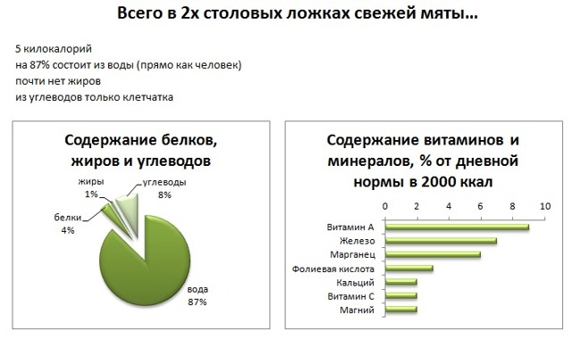 Мята для мужчин: влияние на потенцию, польза и рецепты, вред