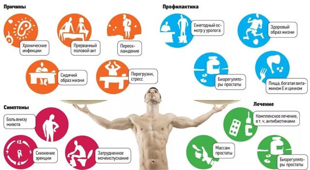 Простатит и зачатие (беременность): влияет ли болезнь на возможность иметь детей?