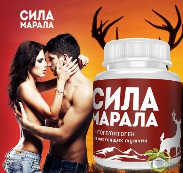 Сила Марала для потенции: инструкция, где купить и цена, отзывы
