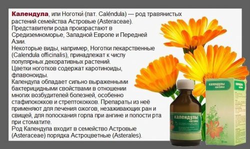 Мазь Календулы для потенции: инструкция по применению и отзывы мужчин