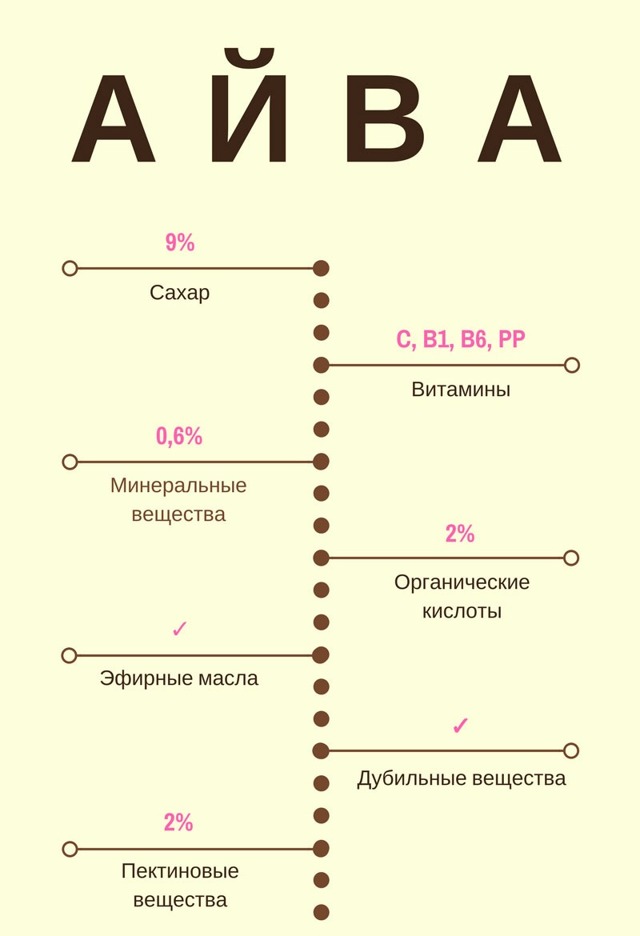 Айва для мужчин: все полезные свойства и противопоказания, влияние на здоровье и потенцию, отзывы