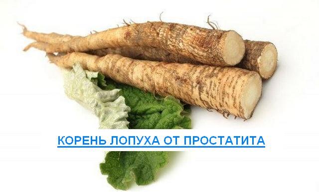 Корень лопуха от простатита: рецепты, лечение, отзывы мужчин