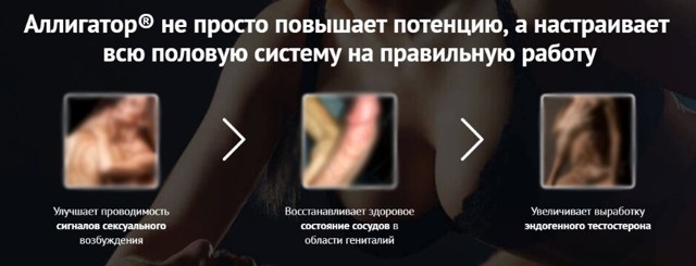 Аллигатор для потенции у мужчин: цена, где купить препарат, отзывы