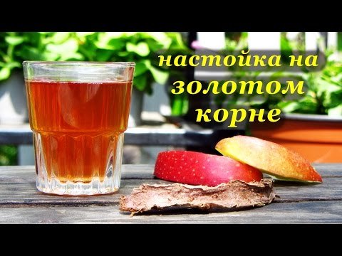 Родиола розовая (золотой корень) для мужчин: лечебные свойства для потенции