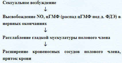 Импотенция при сахарном диабете 2 типа: лечение и профилактика